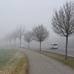 Kurze Runde durch den Nebel
