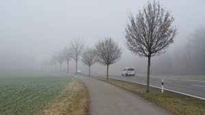 Nebel im Reusstal