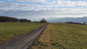 Blick über das Seetal zu den Alpen