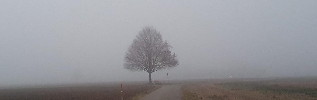 Nebel im Birrfeld