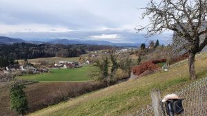 Blick zum Jura zurück