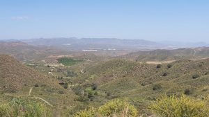 Orangenplantage, gesehen von der Kügelibahn