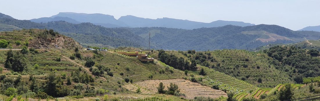 Weinbaugebiet el Priorat / Montsant