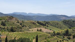 Weinbaugebiet el Priorat / Montsant