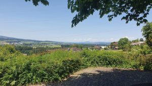 Blick das Reusstal hinunter