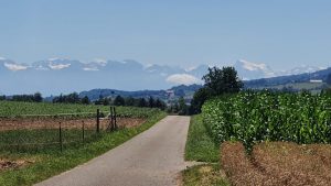 Blick aus dem Bünztal zu den Alpen