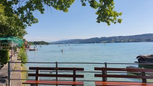 Seerose, Meisterschwanden