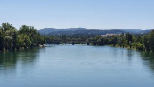 Aare bei Koblenz
