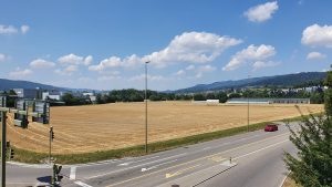 letzter Blick ins Furttal