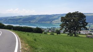 Hämikon, Blick ins Seetal auf den Baldeggersee