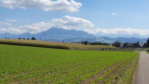Blick zurück, zur Rigi