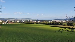 Birrfeld im Abendlicht