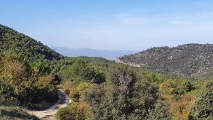 Aussicht von Llaberia