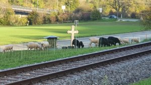 Unterwegs im Rheintal