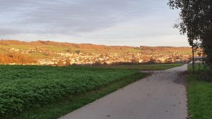 Niederrohrdorf im Abendlicht