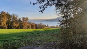 Seetal im Abendlicht