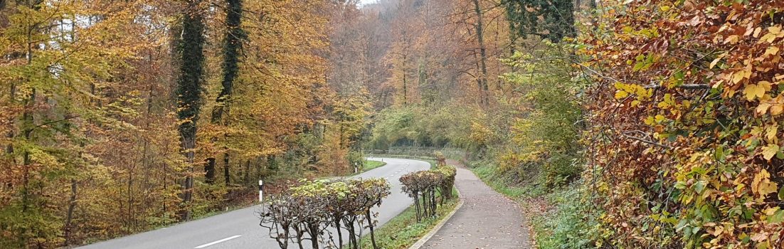 Herbstlicher Radweg im Reusstal