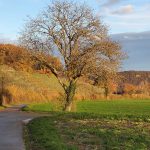 Villigerfeld-Aaretal-Rhein