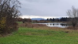 am Flachsee aan der Reuss