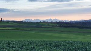 Reusstal und ein kurzer Blick ins Bünztal hinüber