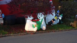 Spätherbstliche Gartendekoration mit weihnachtlichem Touch