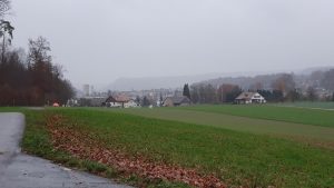 Hausen im Regen