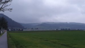 Regen am Rotberg