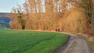 Winterlicher Waldrand