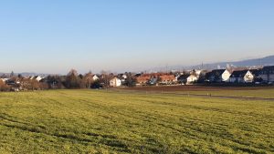 Buchs-Dällikon (Furttal)