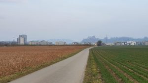 Skyline von Lenzburg