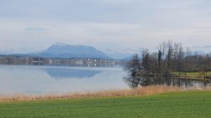 Der obligate Blick zurück