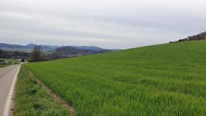 Oberhalb Birmenstorf in Richtung Jura
