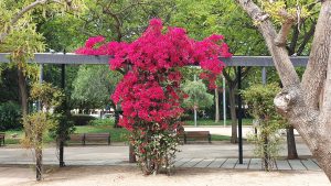 Jardin pescador, Cambrils