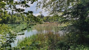 unterwegs im Aaretal