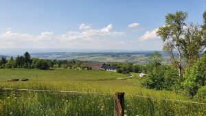 Von der Lägern Blick ins Surbtal hinunter, Schneisigen