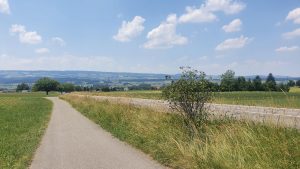 Blick zurück ins Reusstal