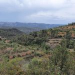 Unterwegs in Katalonien, Im Hintergrund die Sierra de Montsant