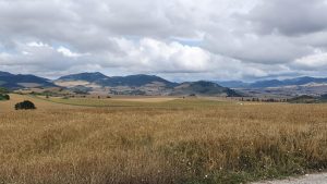 Unterwegs nach Pamplona