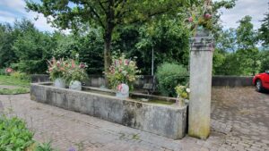 Brunnen in Aarau Rohr