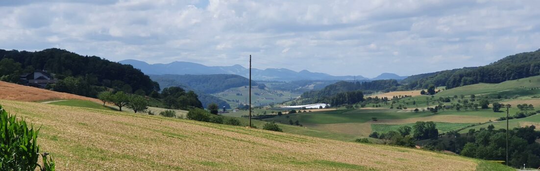 oberhalb Hemmiken (BL), Blick in den Jura