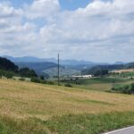 Der Kantonsgrenze zu Baselland entlang