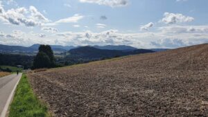 Oberhalb Birmenstorf