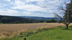 In der Nähe von Bergöschingen