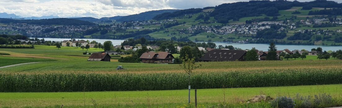 Blick ins Seetal, oberhalb Seengen