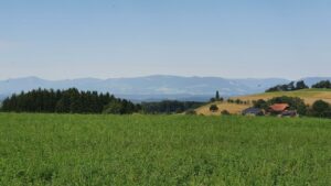 zwischen Altbüron und Ebersecken