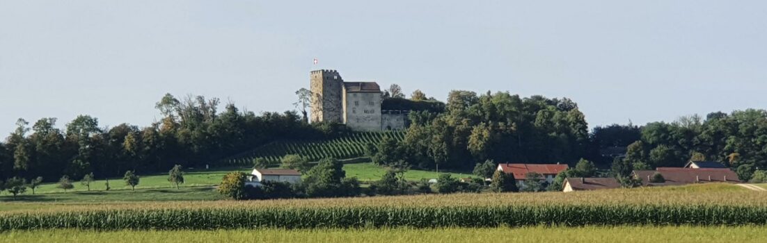 Abendrunde am Mittwoch