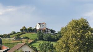 Schloss Wildegg