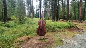 Konzertplatz im Wald