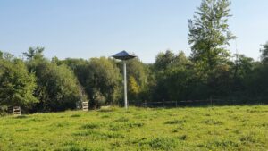 Brutstätte für die Mauersegler