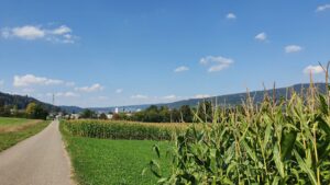 Limmattal bei Neuenhof